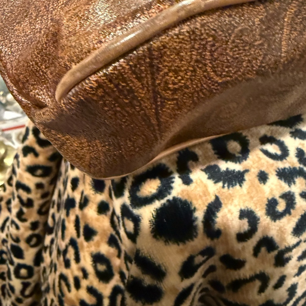 Etro Handbag - Picture 9 of 11